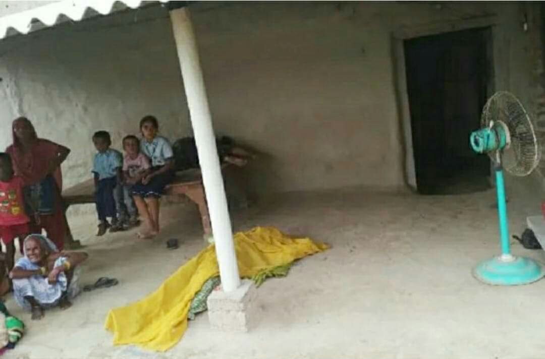 हिंदी समाचार |विद्युत स्पर्शाघात से पच्चीस...