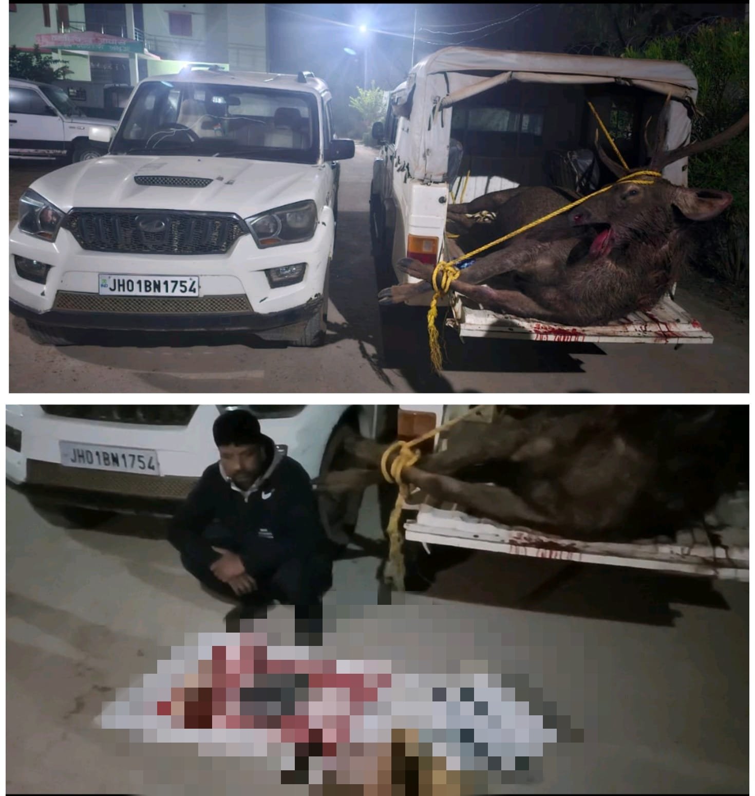 हिंदी समाचार |वन विभाग की गश्ती टीम ने गुप्त...