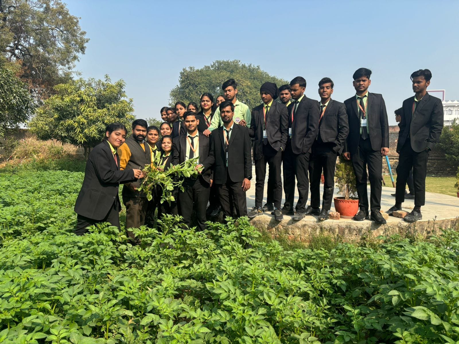 हिंदी समाचार |आलू की वैज्ञानिक खेती से अधिक...