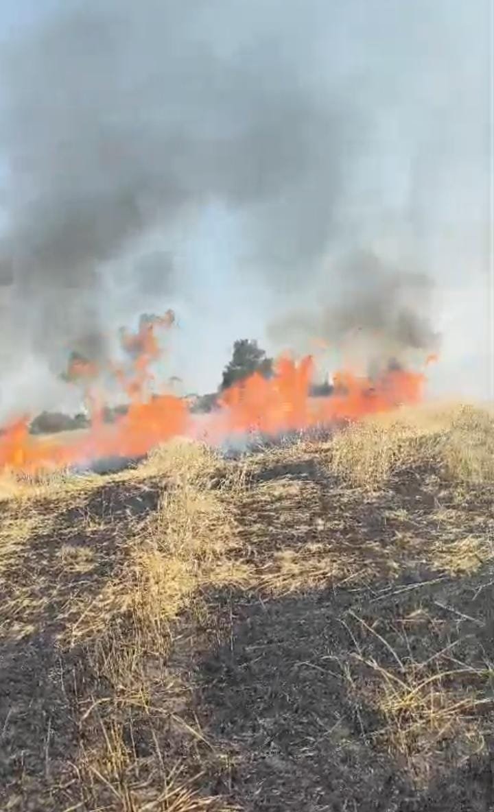 हिंदी समाचार |विद्युत विभाग की लापरवाही से...