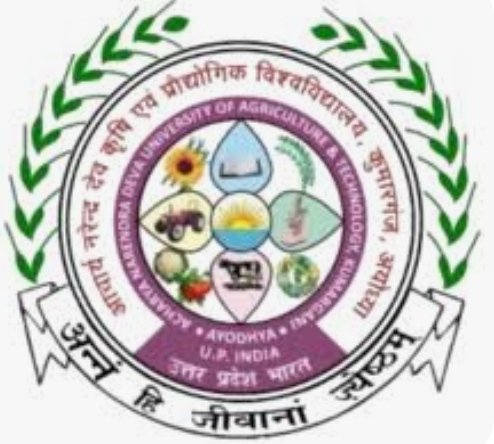 हिंदी समाचार |सहायक प्राध्यापक के निलंबन पर...