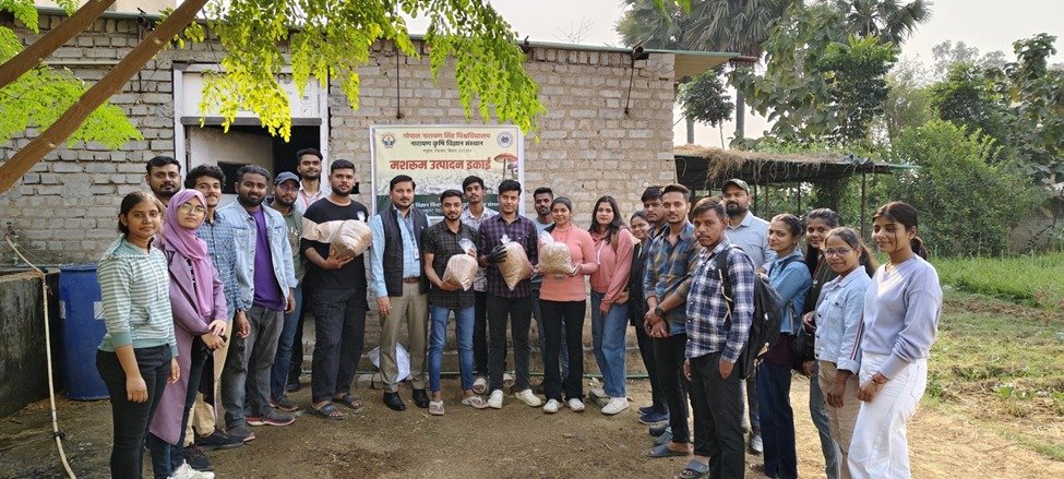 हिंदी समाचार |मशरूम उत्पादन उघमिता की...