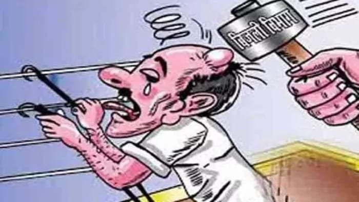 हिंदी समाचार |हाइवे दिवे गांव में मिनी...