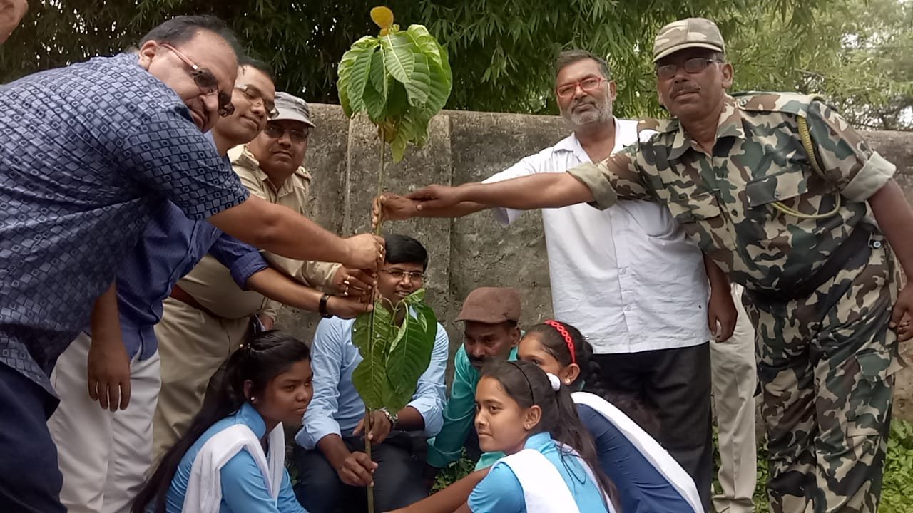 हिंदी समाचार |पौधरोपण कर बनाया गया 70 वां वन...