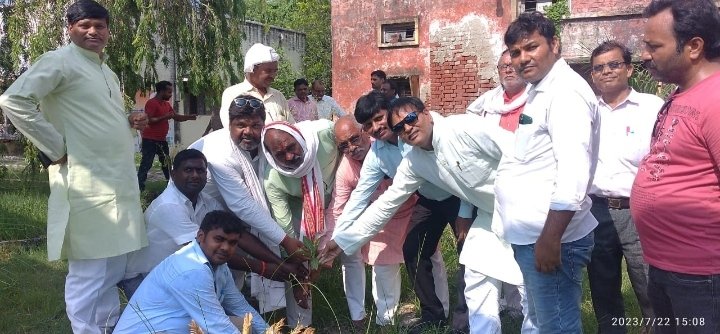 हिंदी समाचार |वृक्षों को काटने के बजाय...