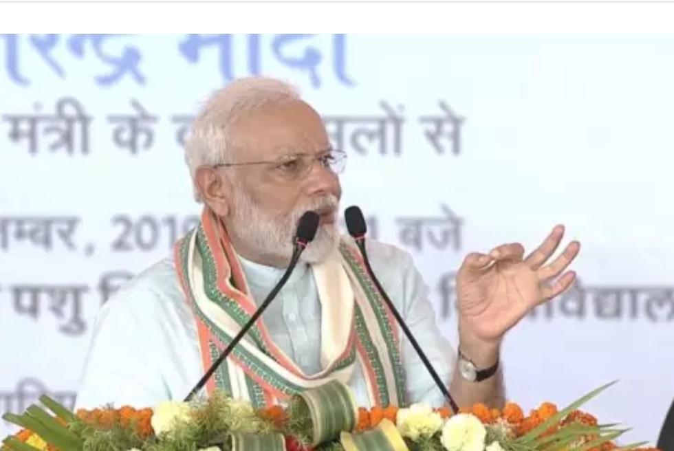 हिंदी समाचार |ओम या गाय का नाम सुनते ही कुछ...