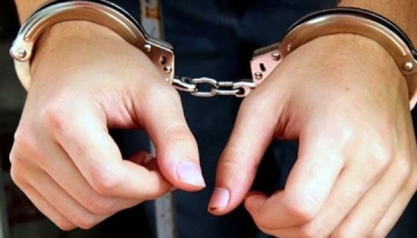 हिंदी समाचार |सात बांग्लादेशी नागरिक...