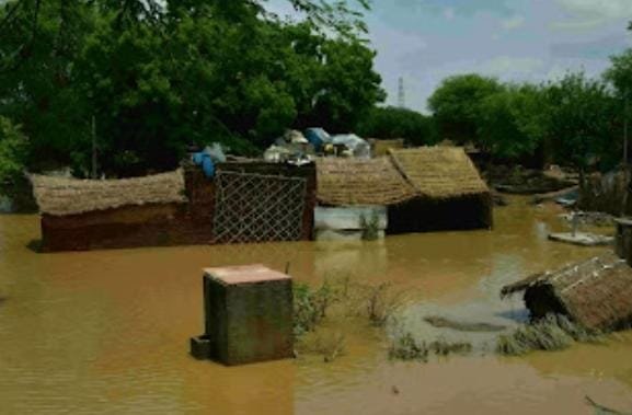 हिंदी समाचार |बाढ़ की स्थिती को लेकर तहसील...