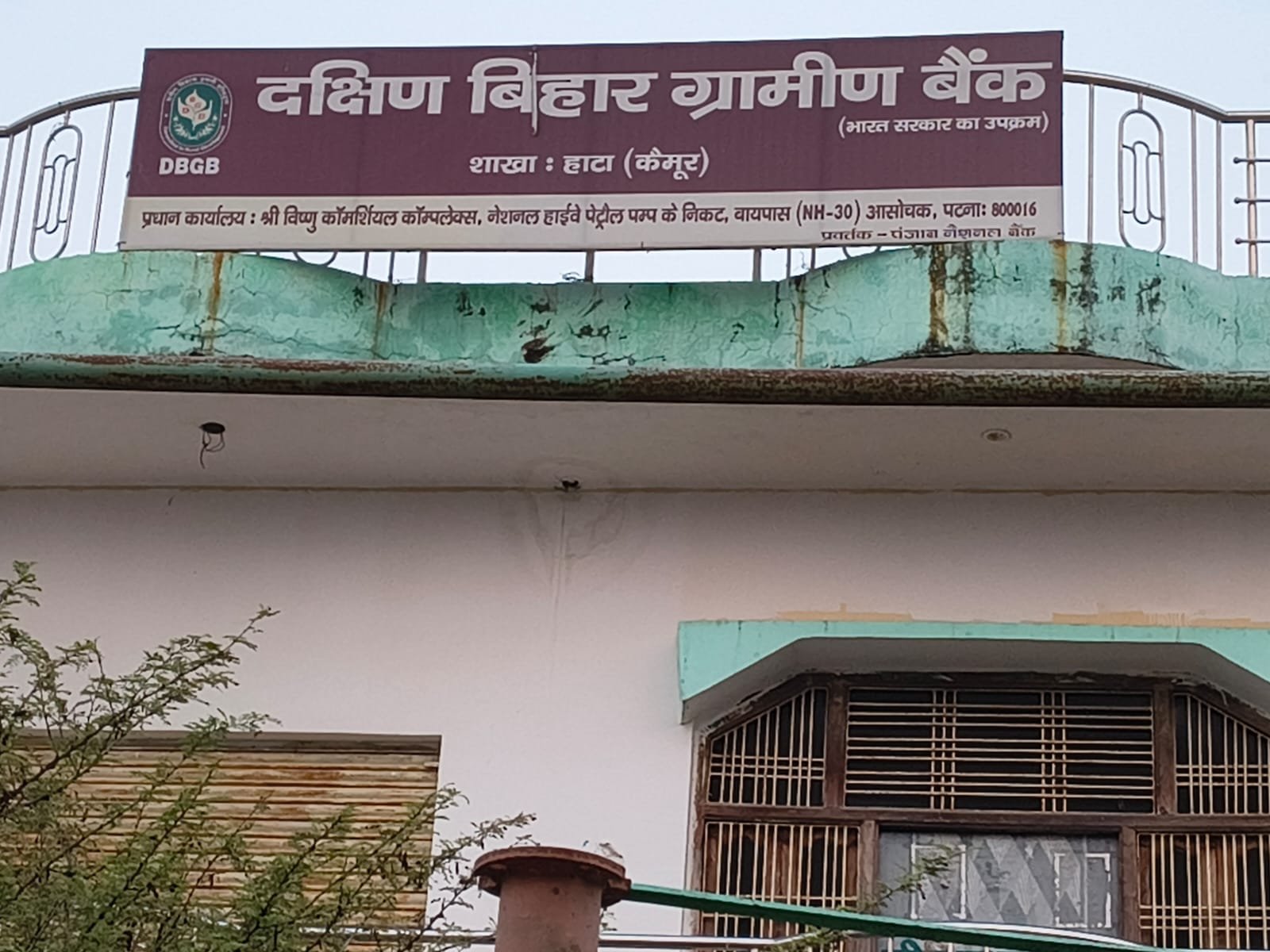 हिंदी समाचार |ग्रामीण बैंक हाटा में तीन...