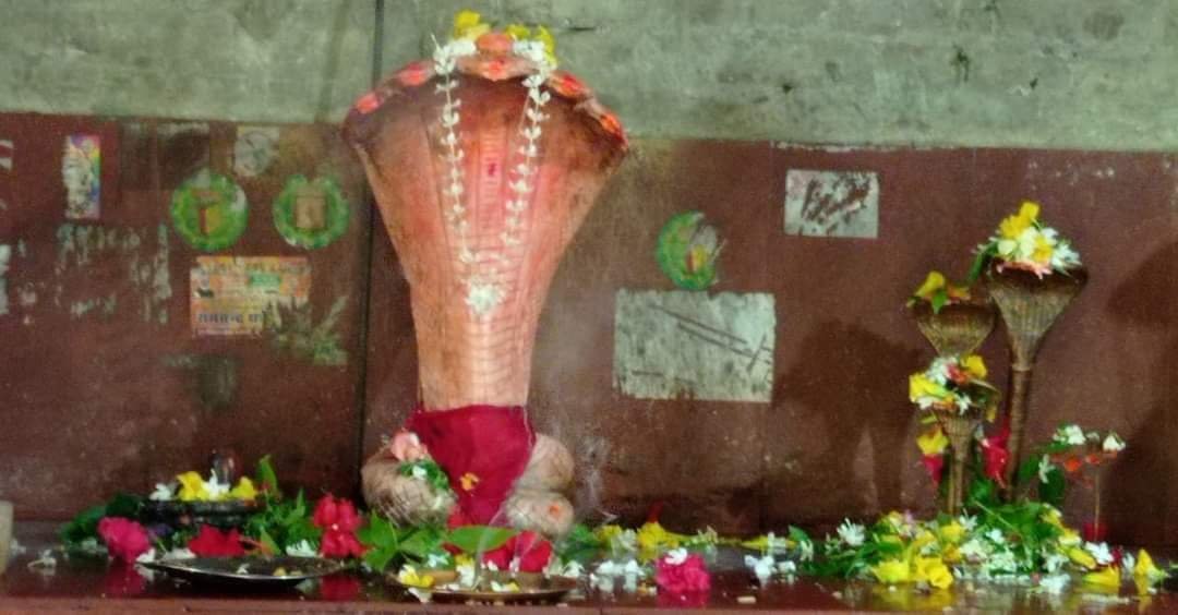 हिंदी समाचार |आस्था के प्रतीक गहनाग देव...