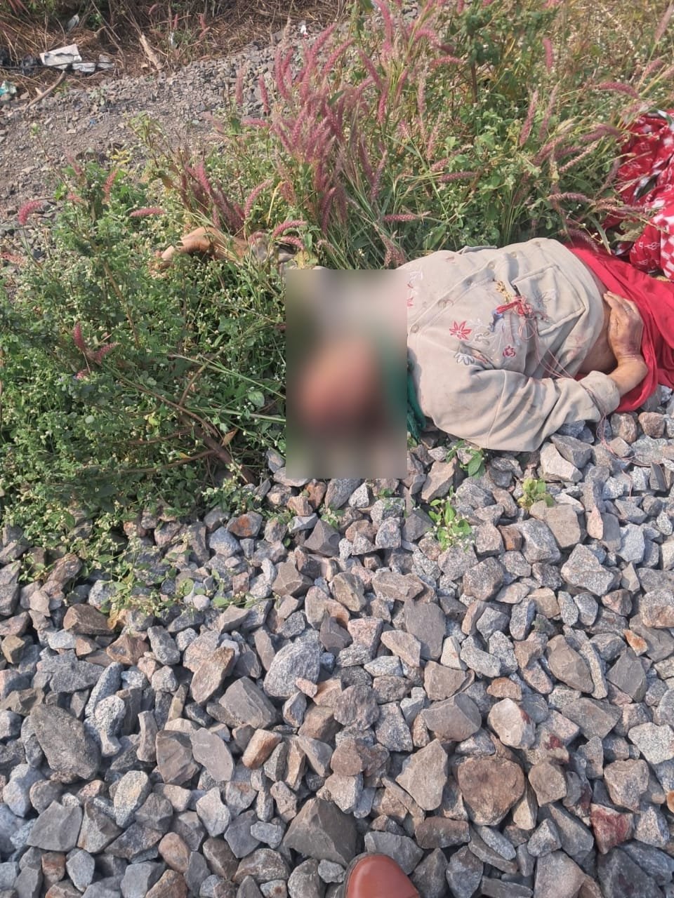 हिंदी समाचार |वेदा नहर के पास एक महिला ट्रैन...