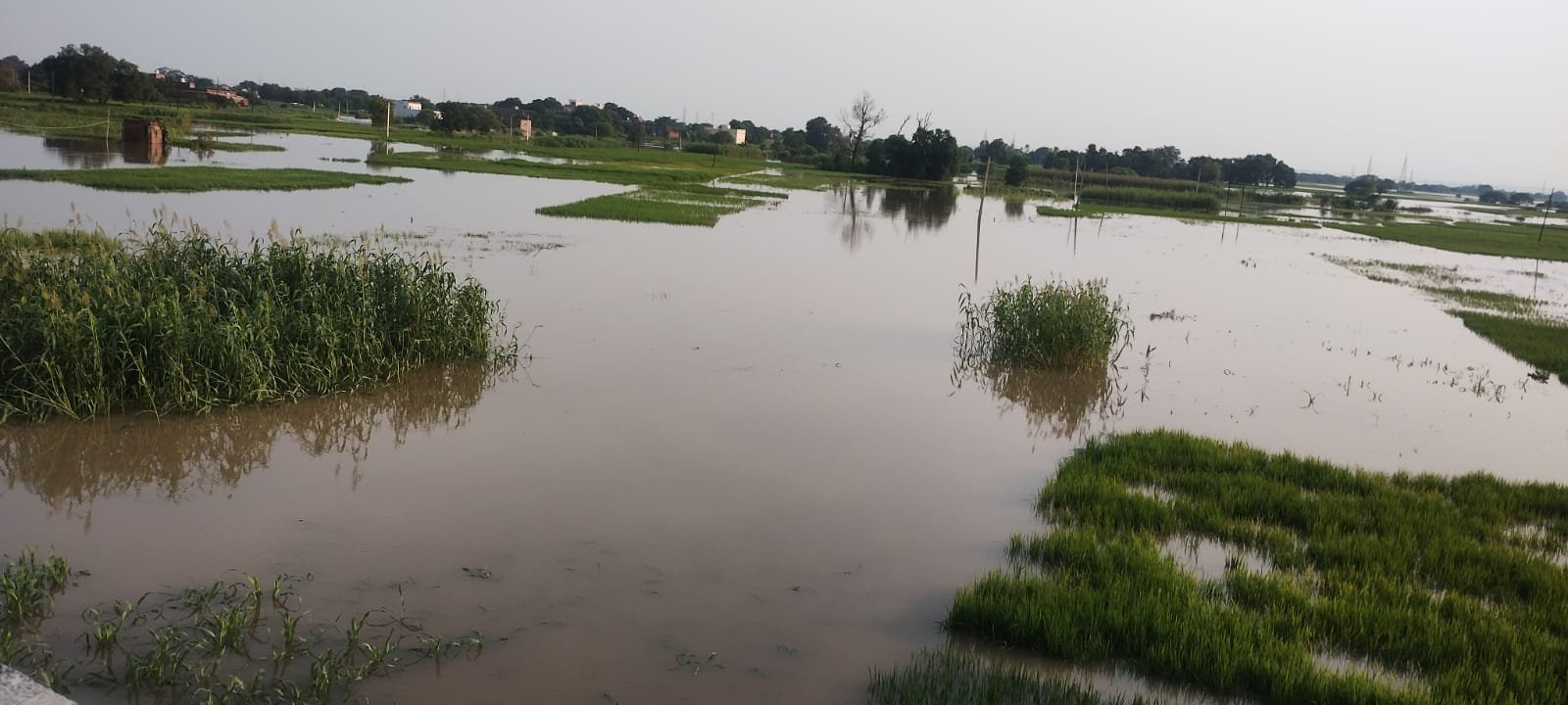 हिंदी समाचार |नदी का जलस्तर बढ़ने से...