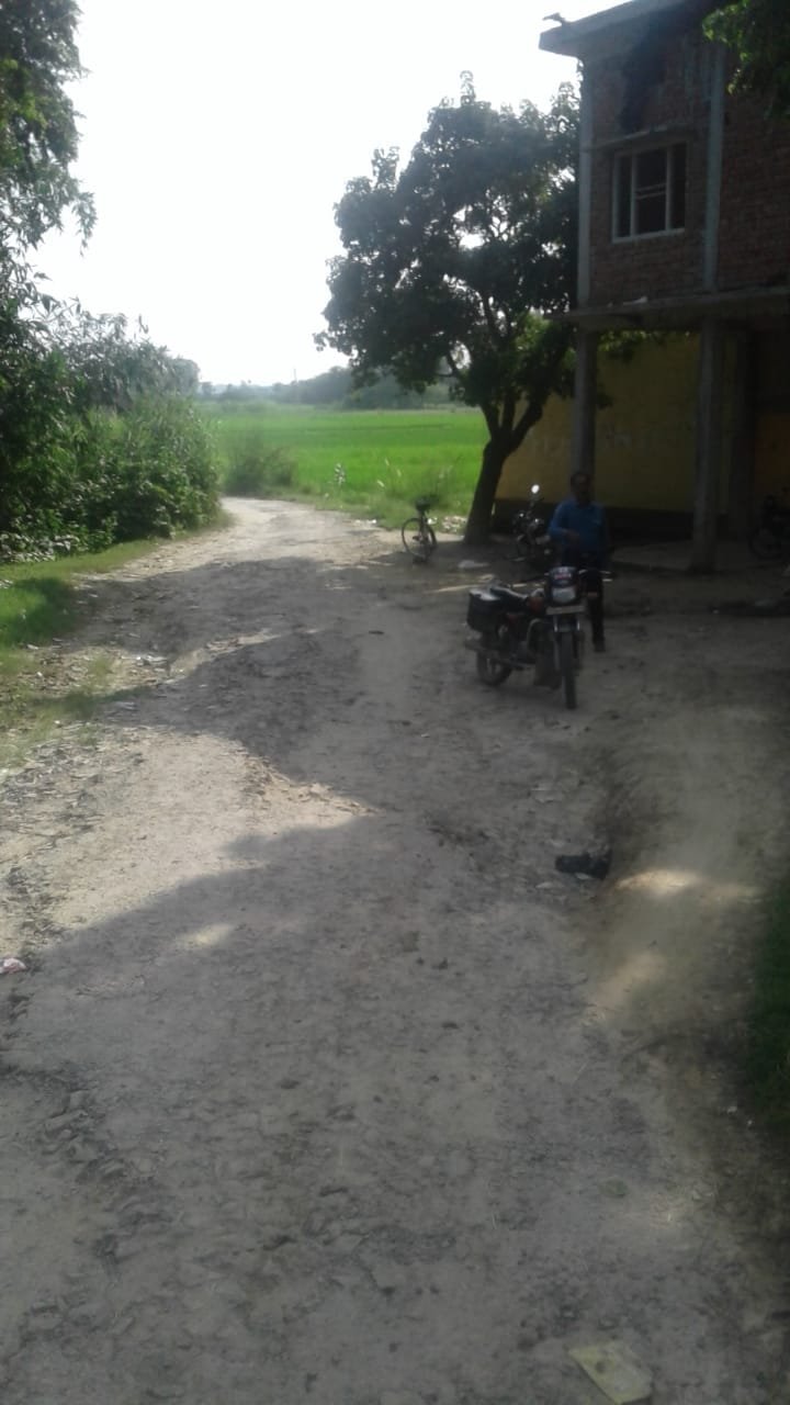 हिंदी समाचार |सुईथाकला विकास खंड में सड़क की...