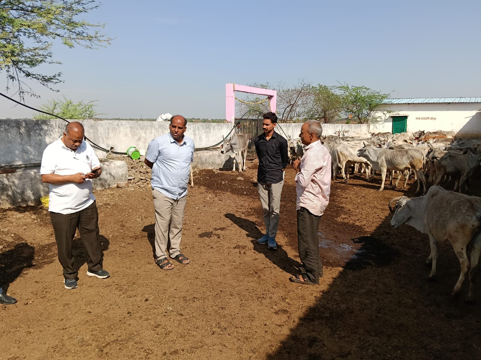 हिंदी समाचार | कलेक्टर डॉ. मिश्रा ने ढाबली...