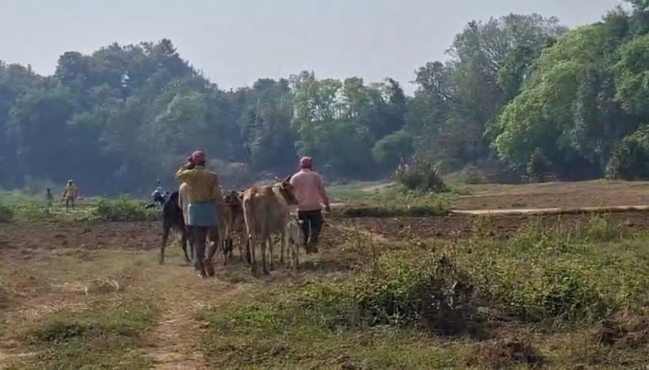 हिंदी समाचार | कर्मनाशा नदी का जलस्तर घटते...