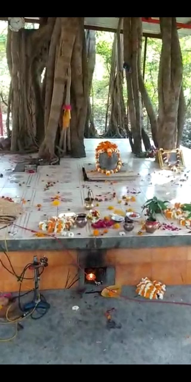 हिंदी समाचार |भागवत कथा के समापन पर हुआ...