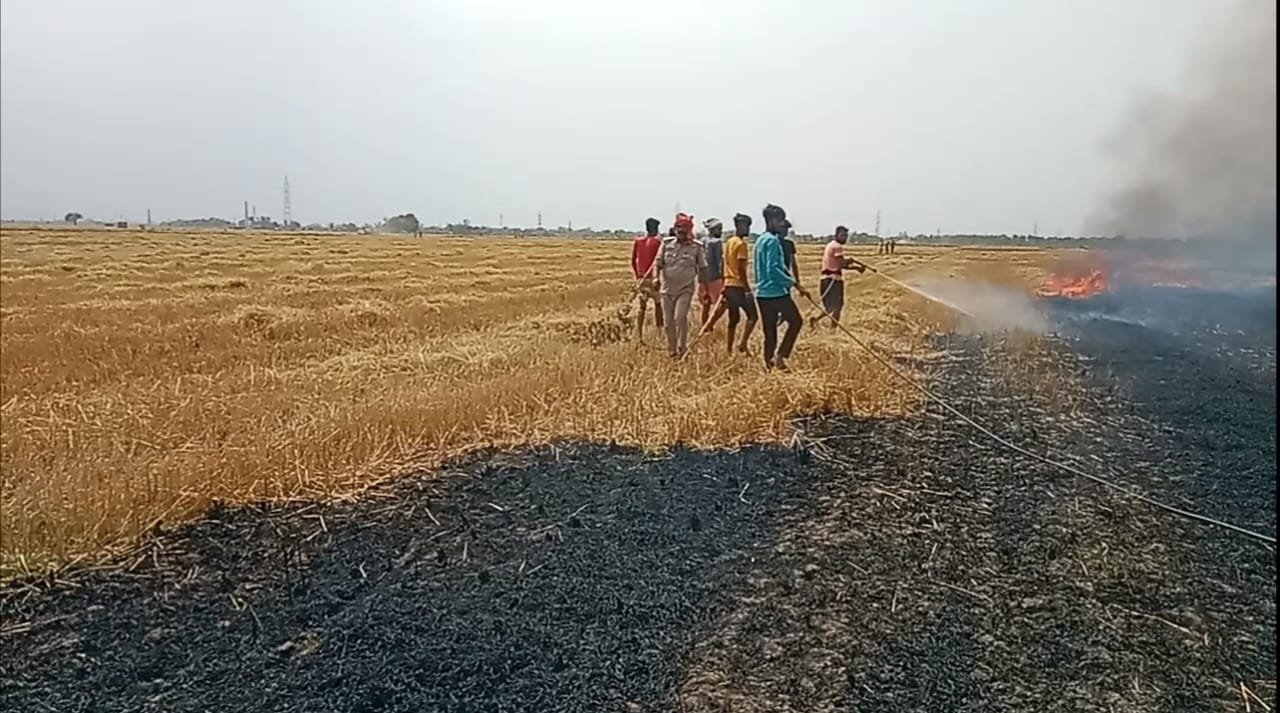 हिंदी समाचार |अचानक लगी आग से विभिन्न...