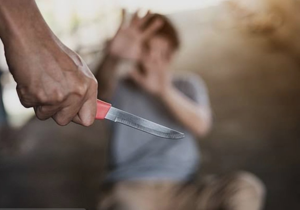 हिंदी समाचार |15 वर्षीय नाबालिग की चाकू गोदकर...