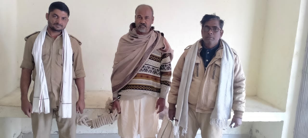 हिंदी समाचार |शराब विक्रेता गिरफ्तार भेजा...