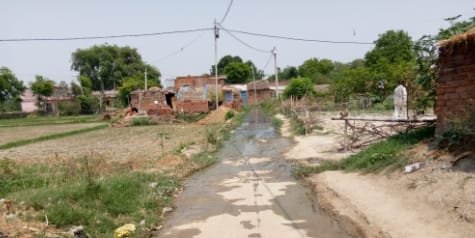 हिंदी समाचार |पच्चिलखी गांव का मुख्य मार्ग...