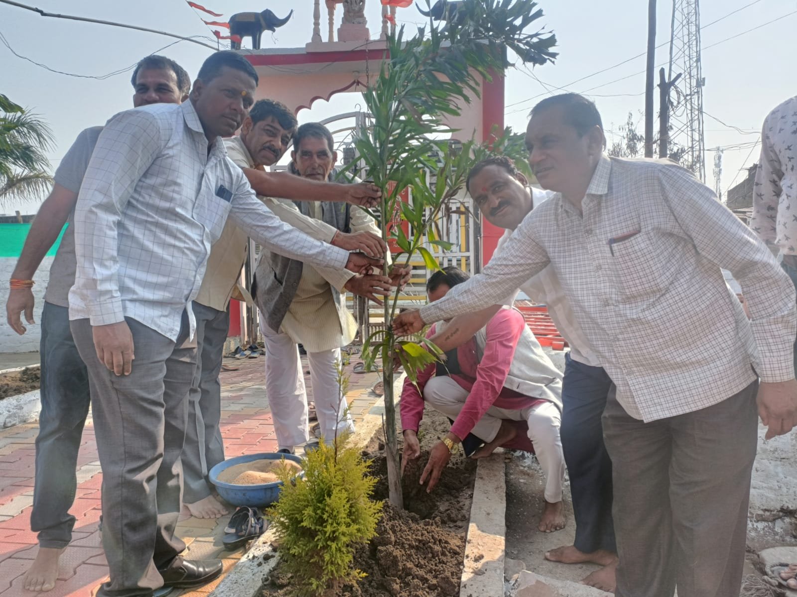 हिंदी समाचार |हरी झंडी दिखाकर बसों को किया...