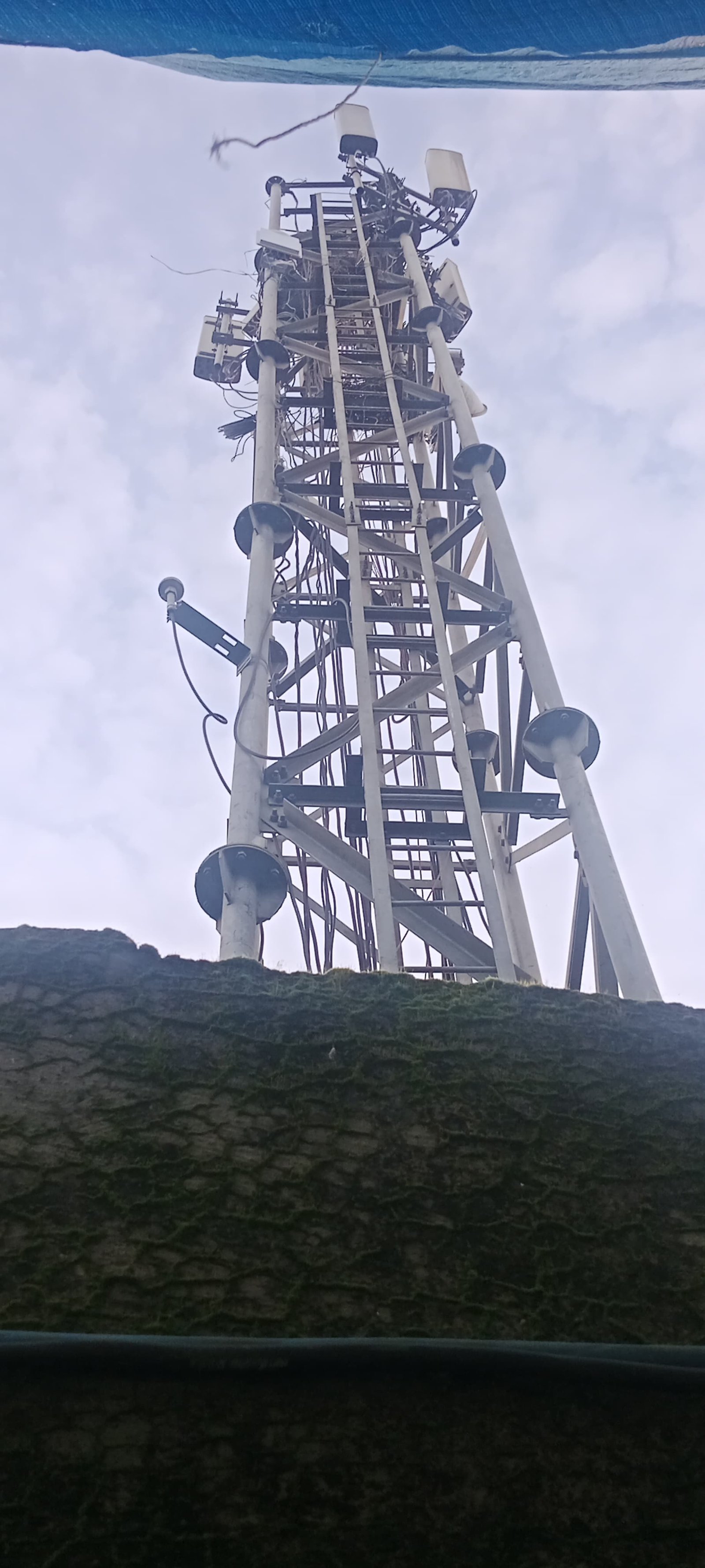 हिंदी समाचार |वन विभाग की जमीन पर खड़ा हुआ...