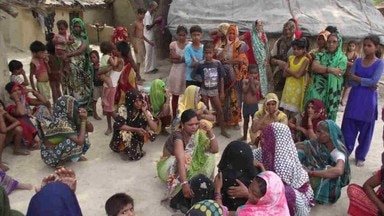 हिंदी समाचार |आम के चक्कर मे बालिका ने गवाई...