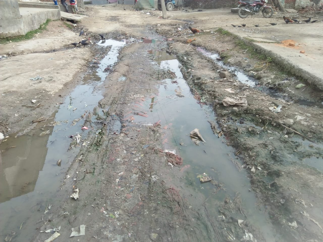 हिंदी समाचार |गड्ढा युक्त सड़क को गड्ढा...