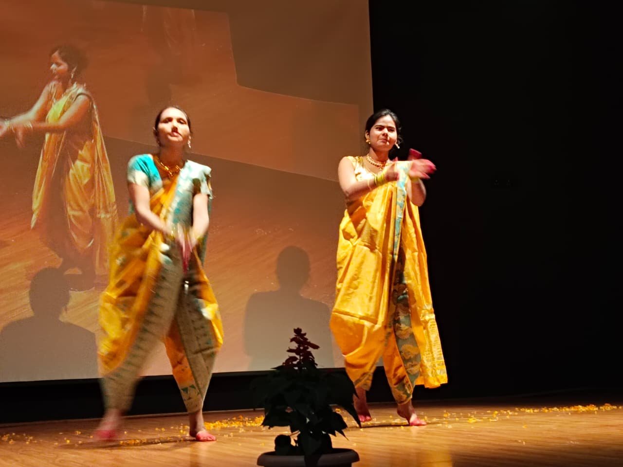 हिंदी समाचार |प्रतिभा खोज प्रतियोगिता...