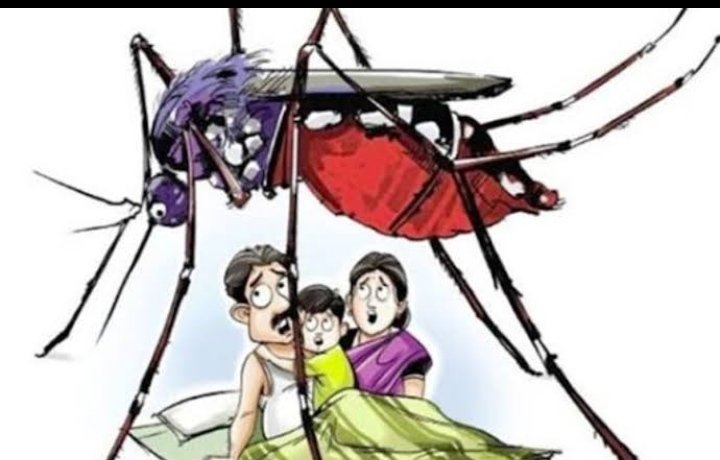 हिंदी समाचार |इलाज व सावधानी है फाइलेरिया...