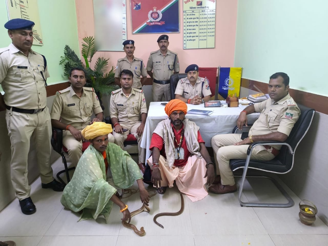 हिंदी समाचार |दो रेड सैंड बोआ स्नैक के साथ दो...