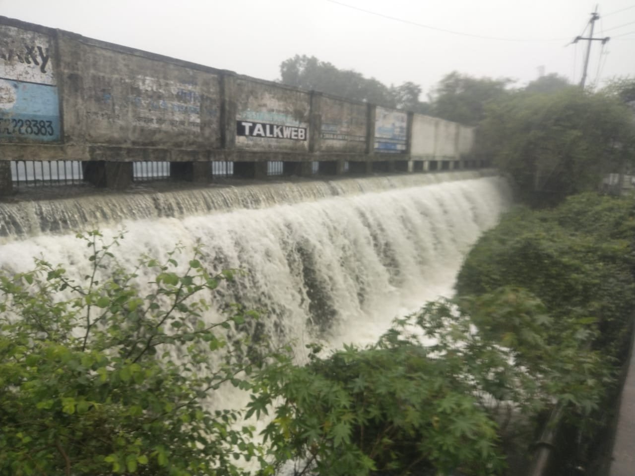 हिंदी समाचार |भिवंडी का वडाला देवी तालाब...