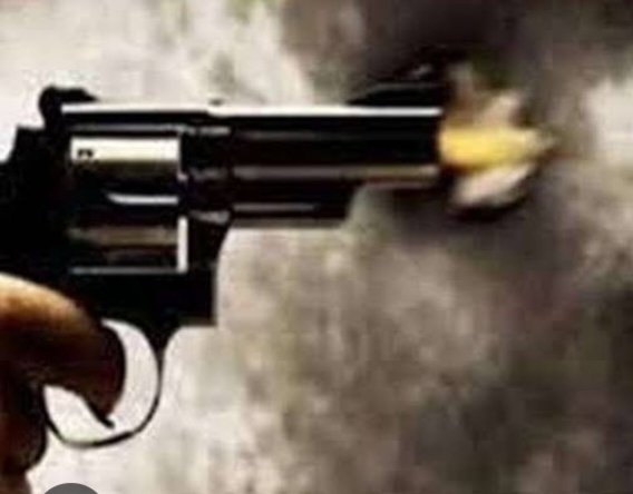 हिंदी समाचार |अपराधियों के हौसले बुलंद शादी...