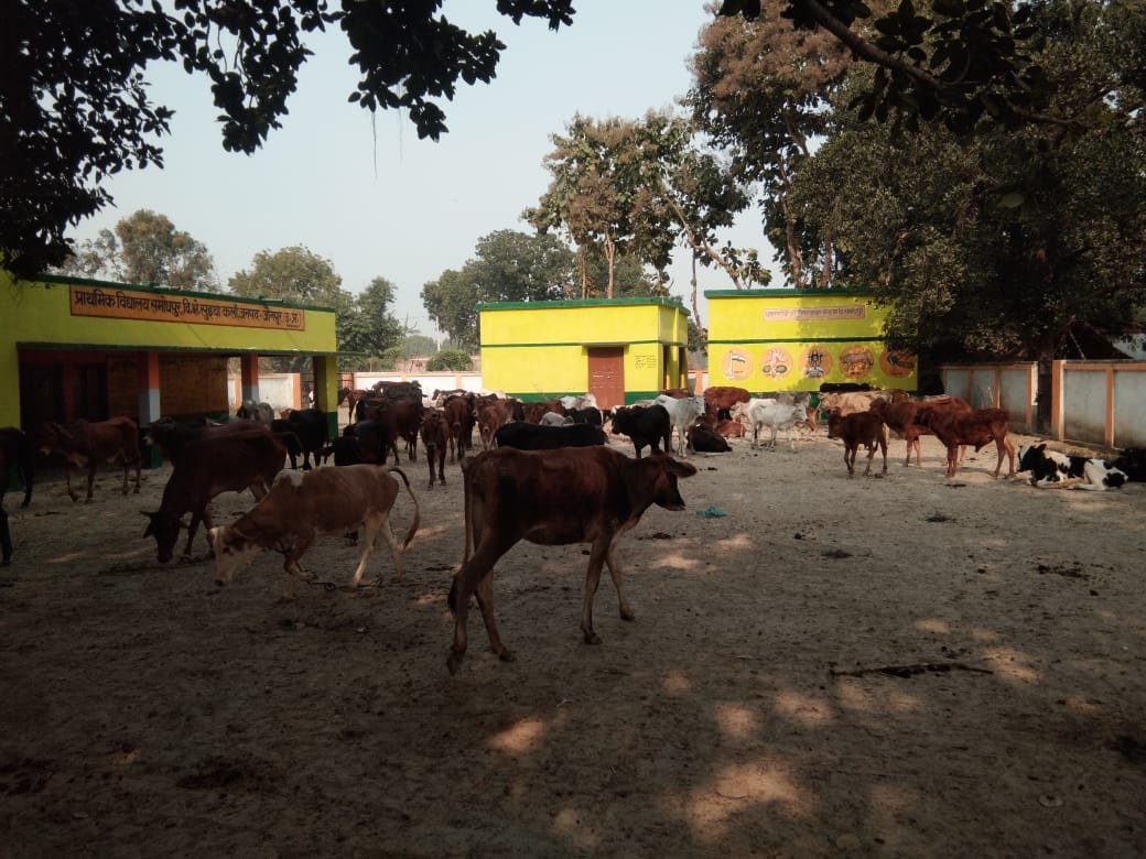 हिंदी समाचार |प्रशासनिक अधिकारियों की...