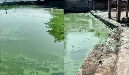 हिंदी समाचार |जहरीला पानी, बेपरवाह सिस्टम ! NGT...