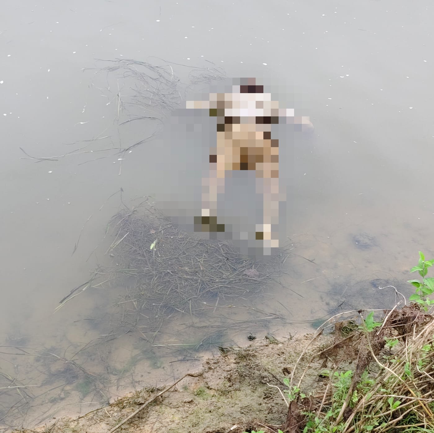 हिंदी समाचार |48 वर्षीय व्यक्ति की नदी से शव...