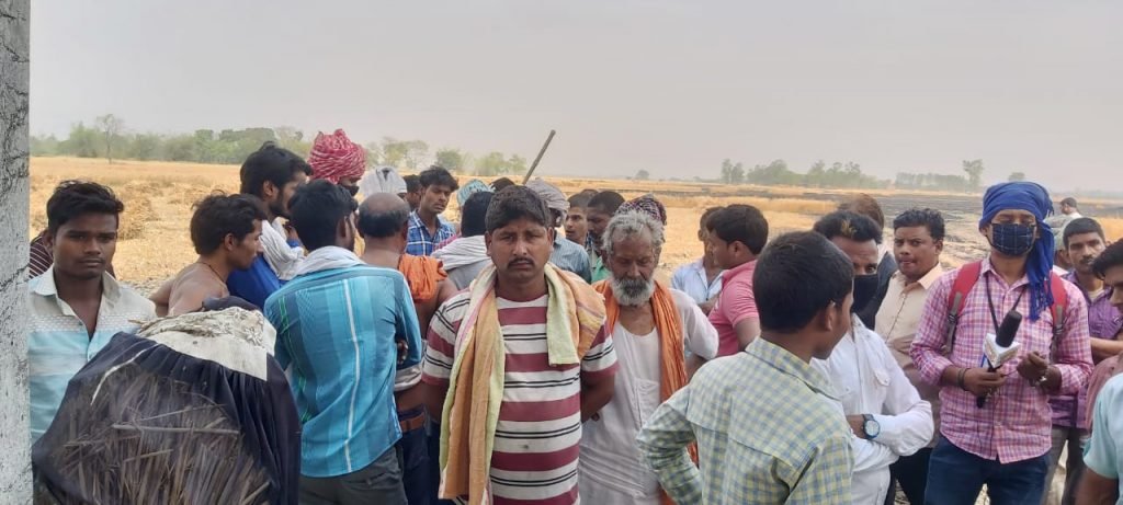हिंदी समाचार |आग से 4 बीघा गेहूं की खड़ी फसल...