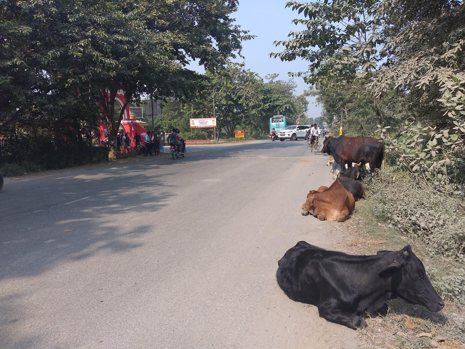 हिंदी समाचार |लापरवाह कर्मचारियों के चलते...