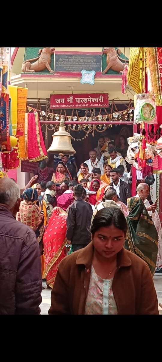 हिंदी समाचार |मां पाल्हमेश्वरी धाम पर लगा...