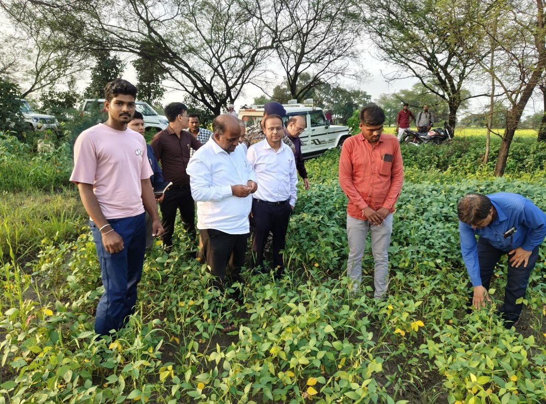 हिंदी समाचार |कलेक्टर डॉ. मिश्रा ने किया फसल...