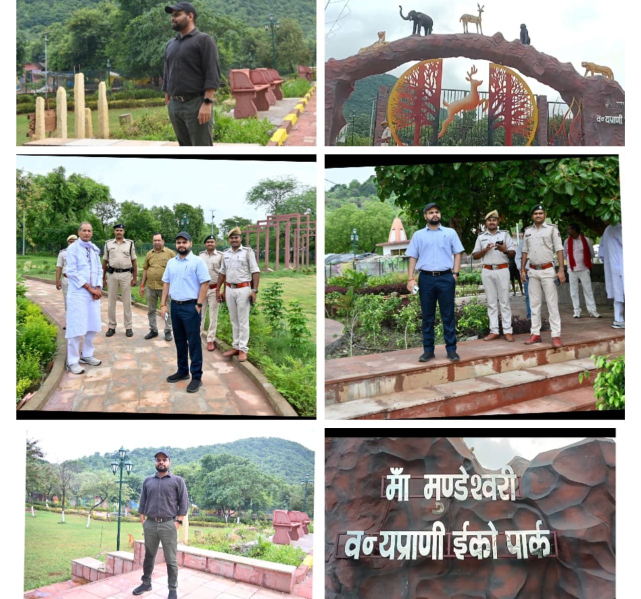 हिंदी समाचार |वन प्रमंडल पदाधिकारी के देख...