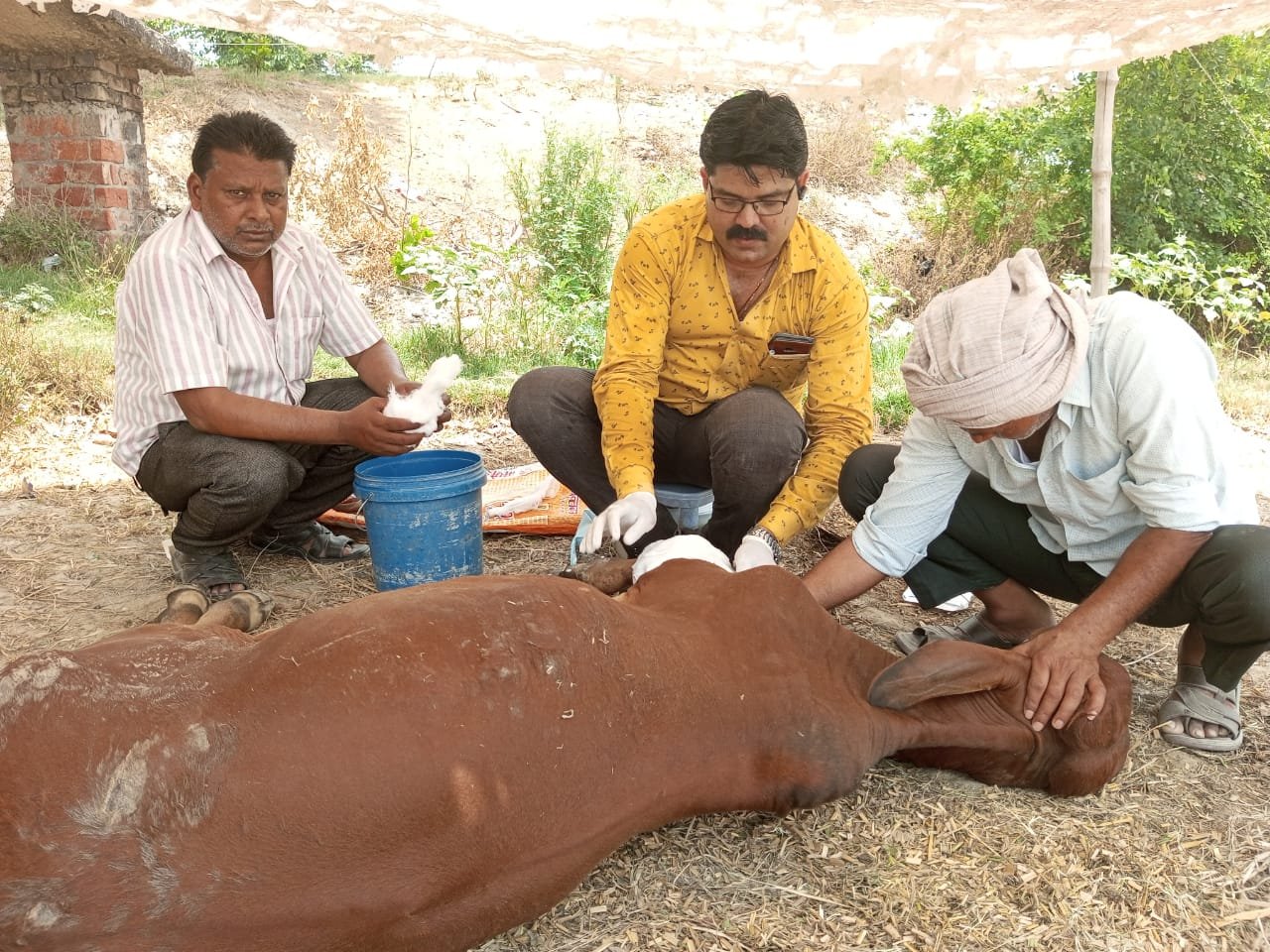 हिंदी समाचार |कर्तव्यपरायणता की...
