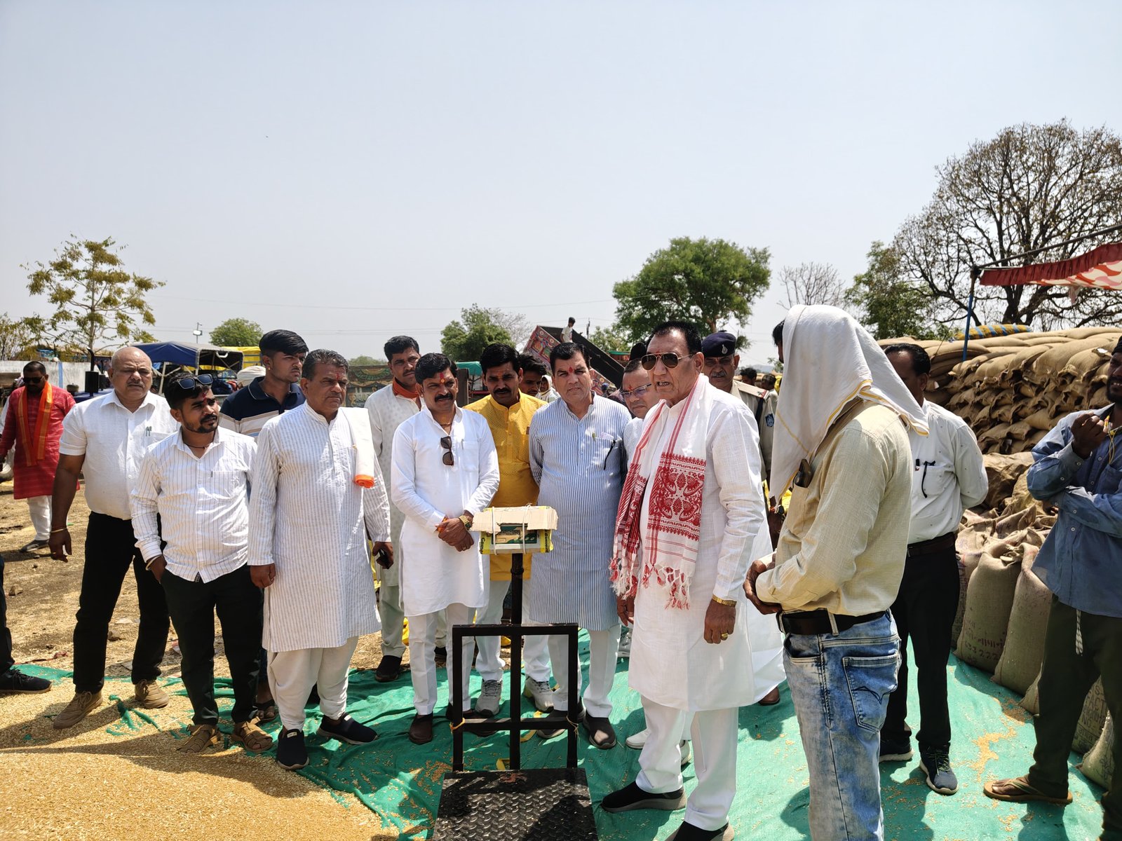 हिंदी समाचार |जिले के नापानेरा गेहूं खरीदी...