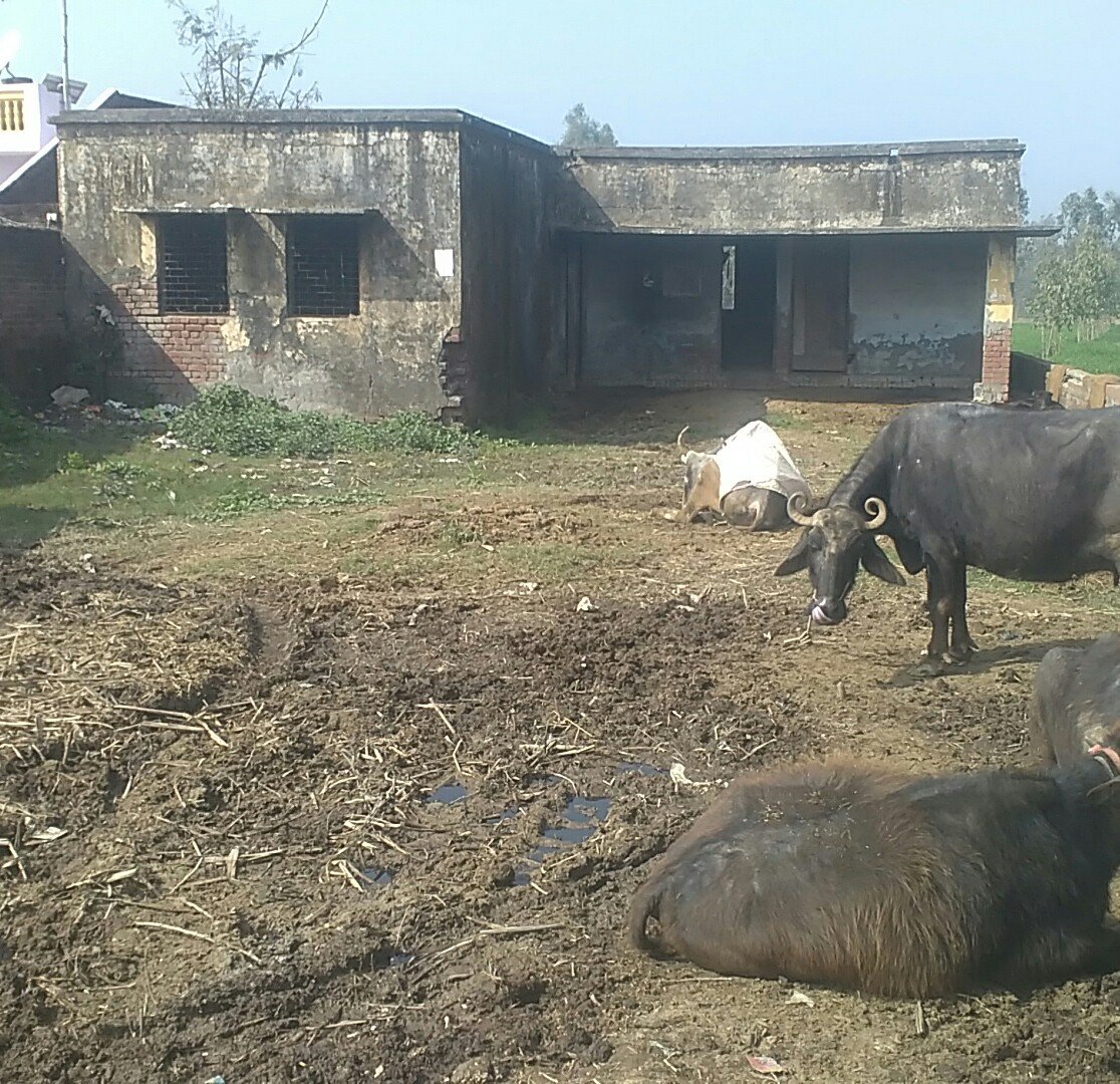 हिंदी समाचार |डीएम साहब यह है आपके जिले के...