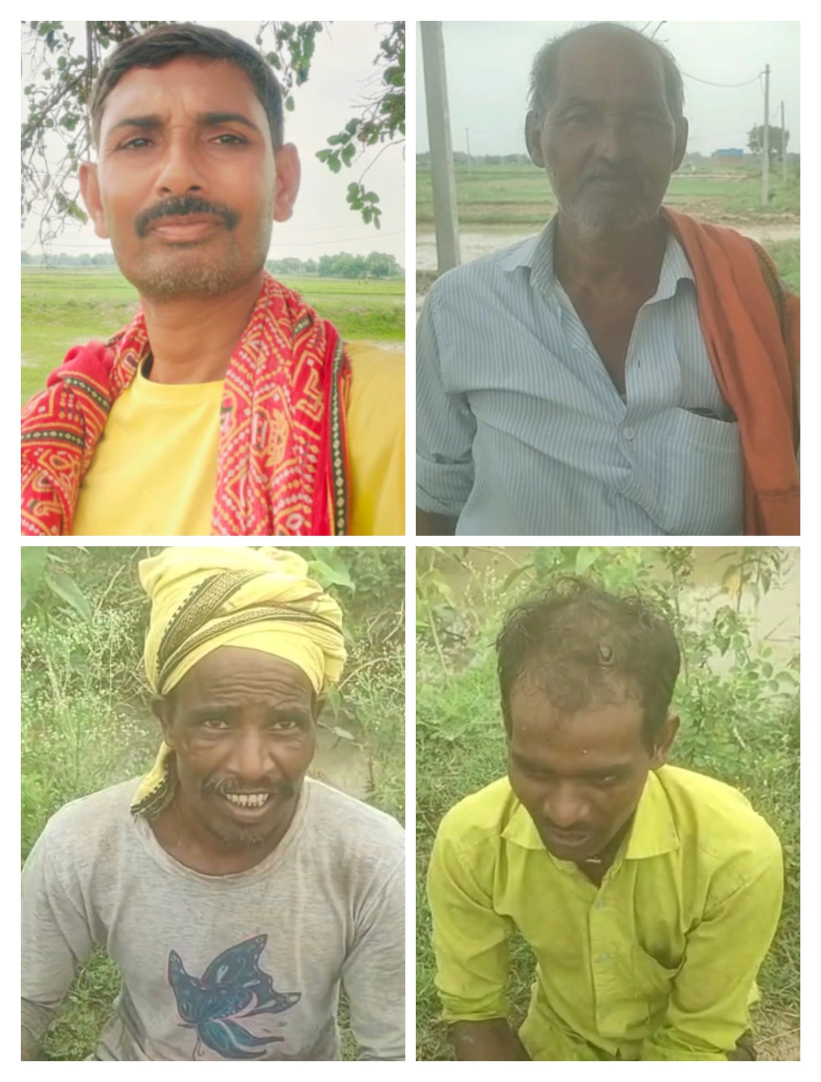 हिंदी समाचार |नहर में बेशर्मी (बेहया) का...