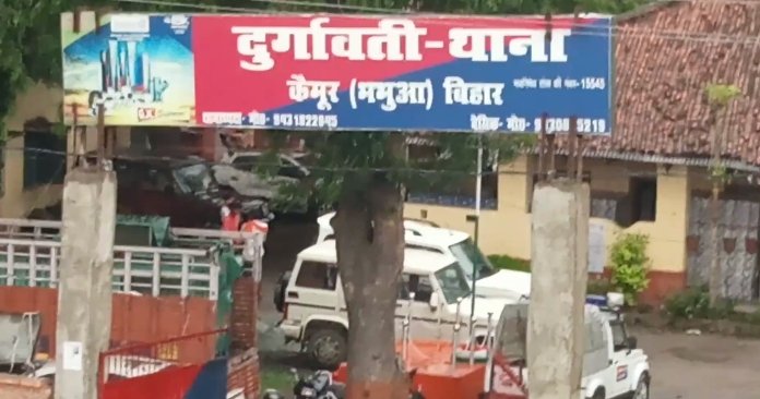 हिंदी समाचार |पचास भेड़ चुरा ले गए चोर मामले...