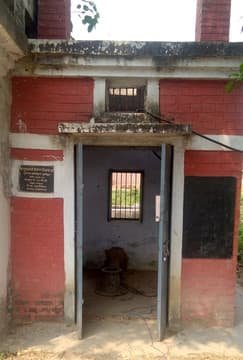 हिंदी समाचार |नलकूप का मोटर जलने से धान की...