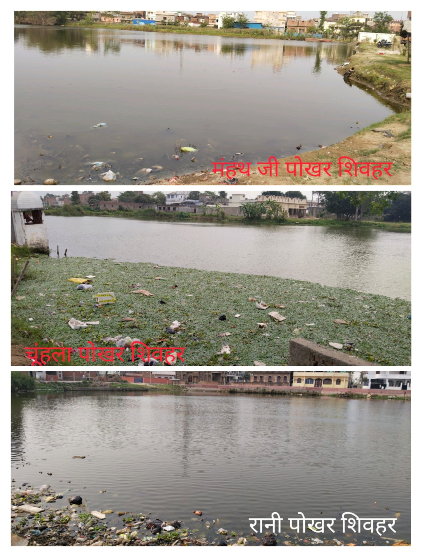 हिंदी समाचार | तालाब- पोखर के महत्व को समझना...