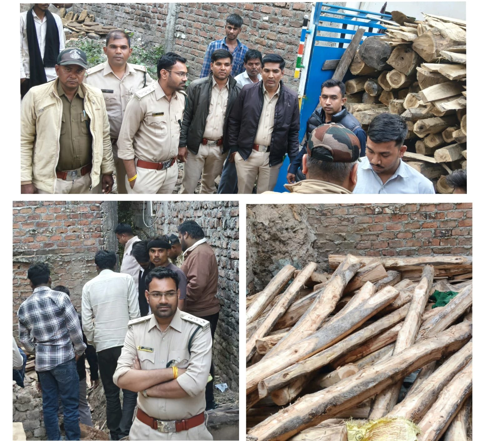 हिंदी समाचार |मीडिया की जानकारी पर वन विभाग...