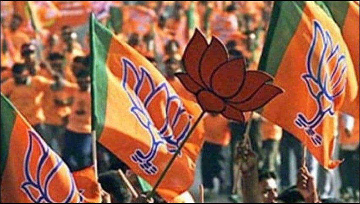 हिंदी समाचार |यूपी विधानसभा मे भाजपा